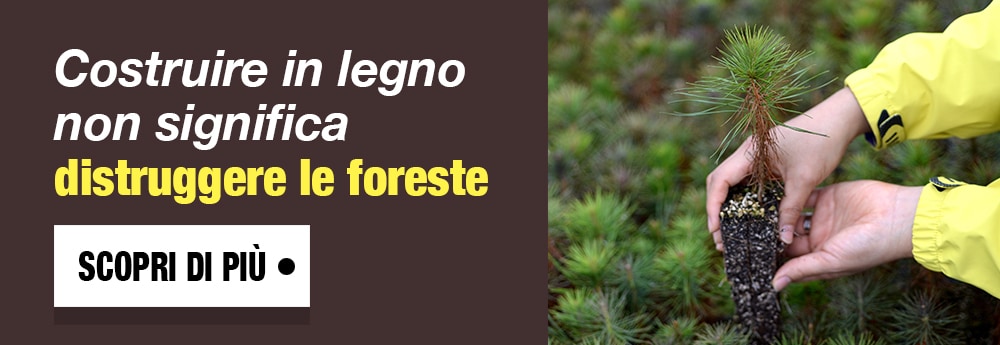 Costruire in legno non significa distruggere le foreste